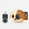 Carplay Monitor Camera