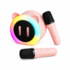Karaoke Speaker
