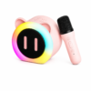 Karaoke Speaker