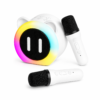 Karaoke Speaker