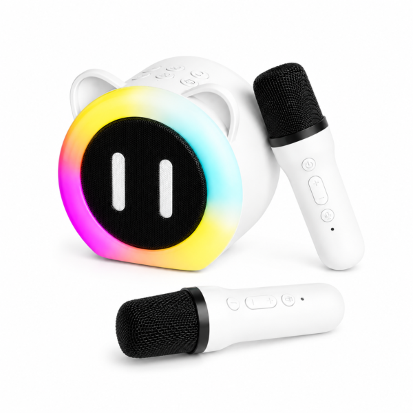 Karaoke Speaker