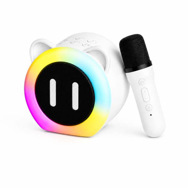 Karaoke Speaker